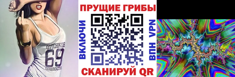 дарнет шоп  Поронайск  MEGA онион  Псилоцибиновые грибы ЛСД 